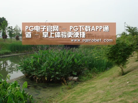 案例展示四(图1)