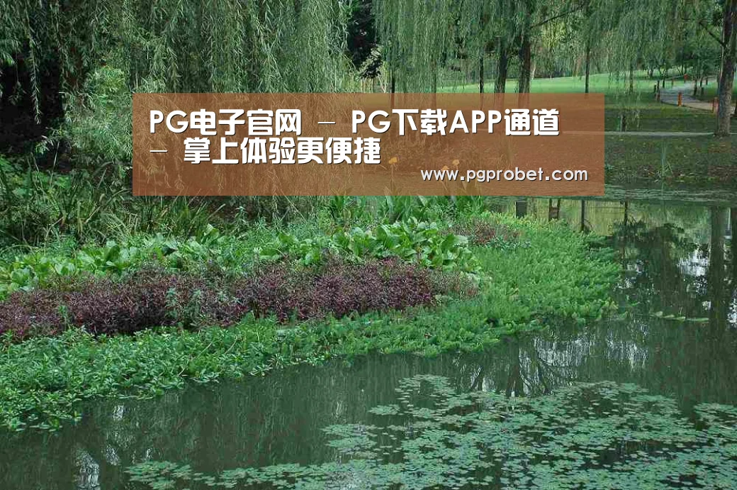 案例展示一(图1)