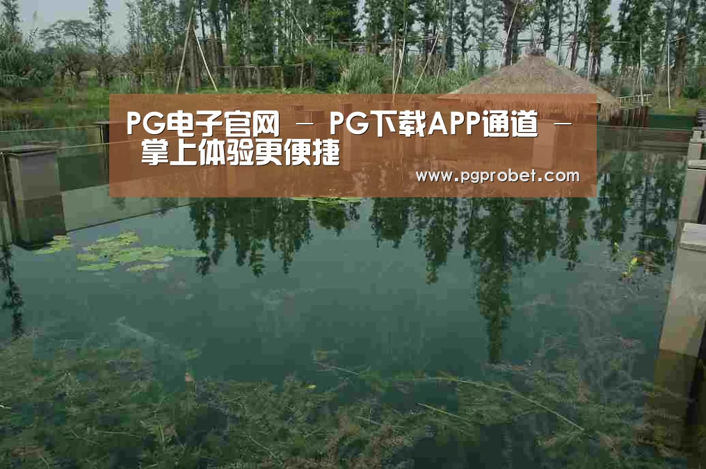 案例展示二(图1)