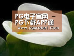 产品名称七