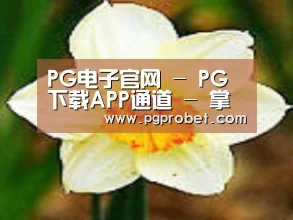 产品名称四