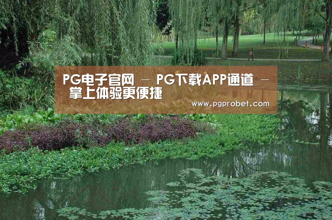 案例展示一
