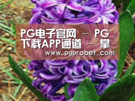 产品名称八
