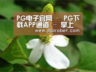 产品名称三