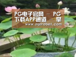 产品名称一