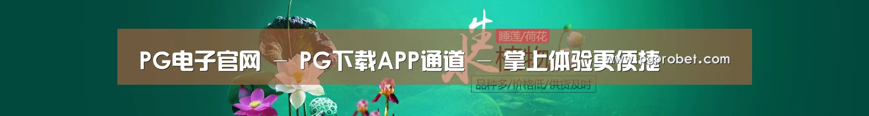 鲜花水草花卉网站模板