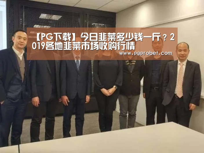 PG掌上