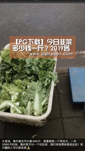 PG掌上
